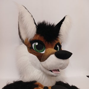 May include: A furry black, brown, and white fox head with green eyes and a pink tongue. The head is attached to a pair of brown and black paws with black paw pads.