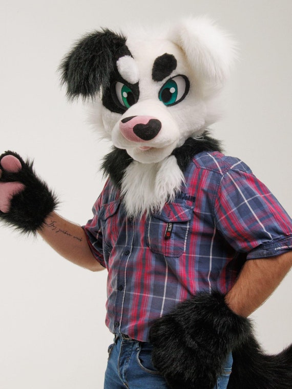 Dog fursuit head ??Premade bernese mountain dog fursuit head?? 3D printed  main image 3