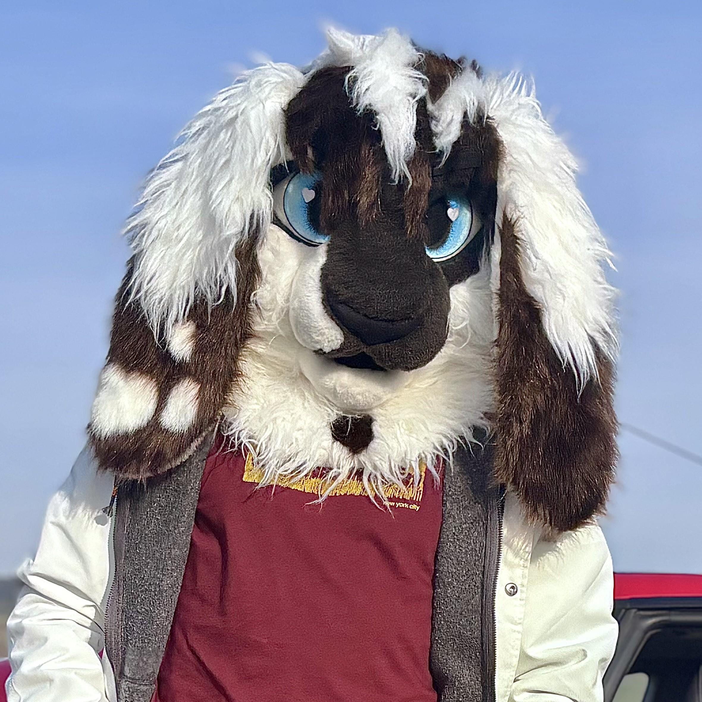 Custom Bunny Rabbit Fursuit Head, Paws & Tail, Size M/L - Etsy