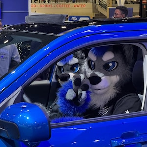 Geprefabriceerde of op maat gemaakte klassieke grijze wolf husky fursuit hoofd, handpoten en staart, fursuit gedeeltelijk premade, wolvenharig masker Eenpersoonskostuums