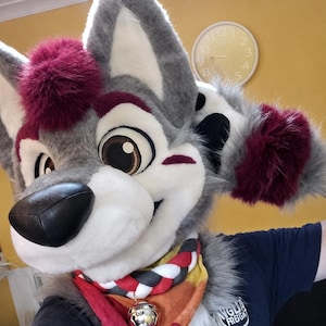 May include: A grey and white wolf-like animal mask featuring a dark maroon faux fur mohawk and matching ear tufts. The mask has a black nose, large brown eyes, and a braided red, white, and grey collar with a small silver bell attached at the center.