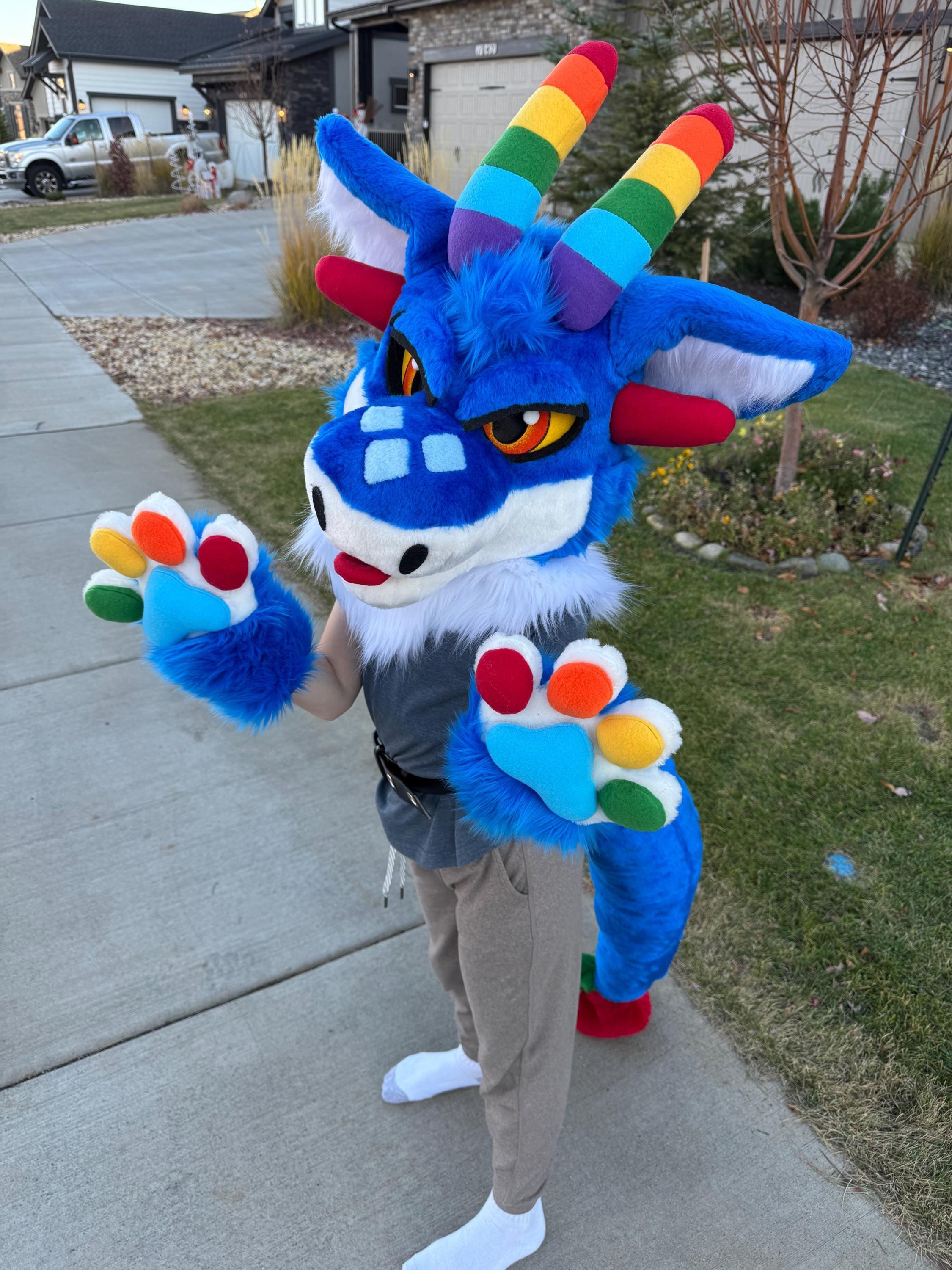 Dragon Fursuit Partial Commission - Sewn, Glasses Adaptation - Etsy
