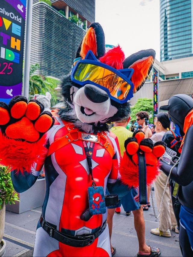 Premade XL Black Orange Wolf Fursuit Head, Hand Paws, Tail - Etsy