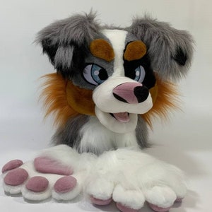 Premade or custom gray australian shepherd dog fursuit head, hand paws and tail