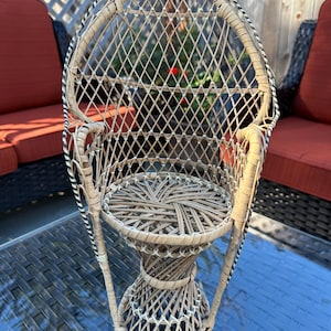 Mini Peacock Chair