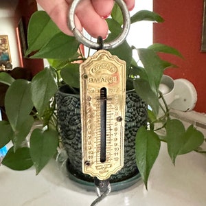 Pocket Balance Scale, Luggage/Fishing Scale