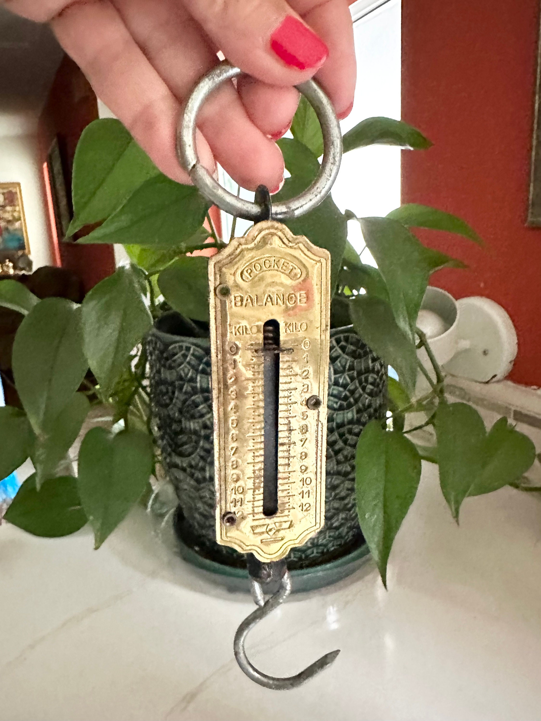 Salter Weighing Scales - Etsy
