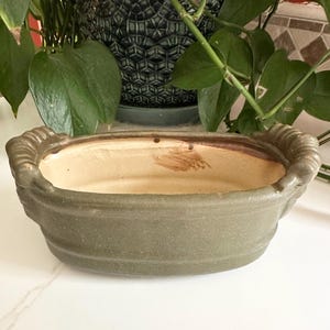 Peut inclure: Un pot de fleurs ovale en céramique vert olive avec un intérieur brun clair. Le pot a un motif texturé et nervuré sur le bord et les côtés. Le pot est vide et prêt à être planté. Des plantes vertes sont en arrière-plan.