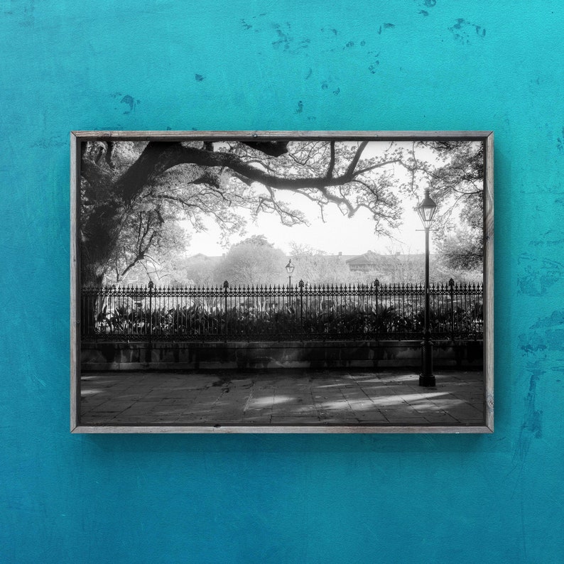 Jackson SquareShadows, French Quarter, Black and White Photography, Street Photography, History, Jackson Square, New Orleans image 1