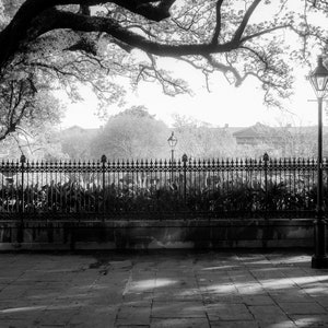 Jackson SquareShadows, French Quarter, Black and White Photography, Street Photography, History, Jackson Square, New Orleans image 2