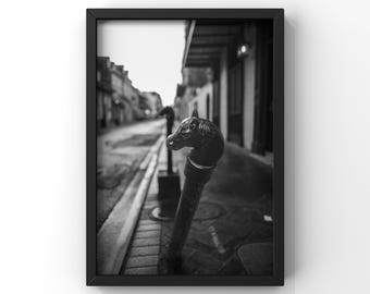 New Orleans Black and White Photography Print – Royal Street Hitching Post