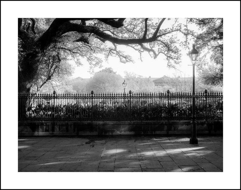 Jackson SquareShadows, French Quarter, Black and White Photography, Street Photography, History, Jackson Square, New Orleans image 3