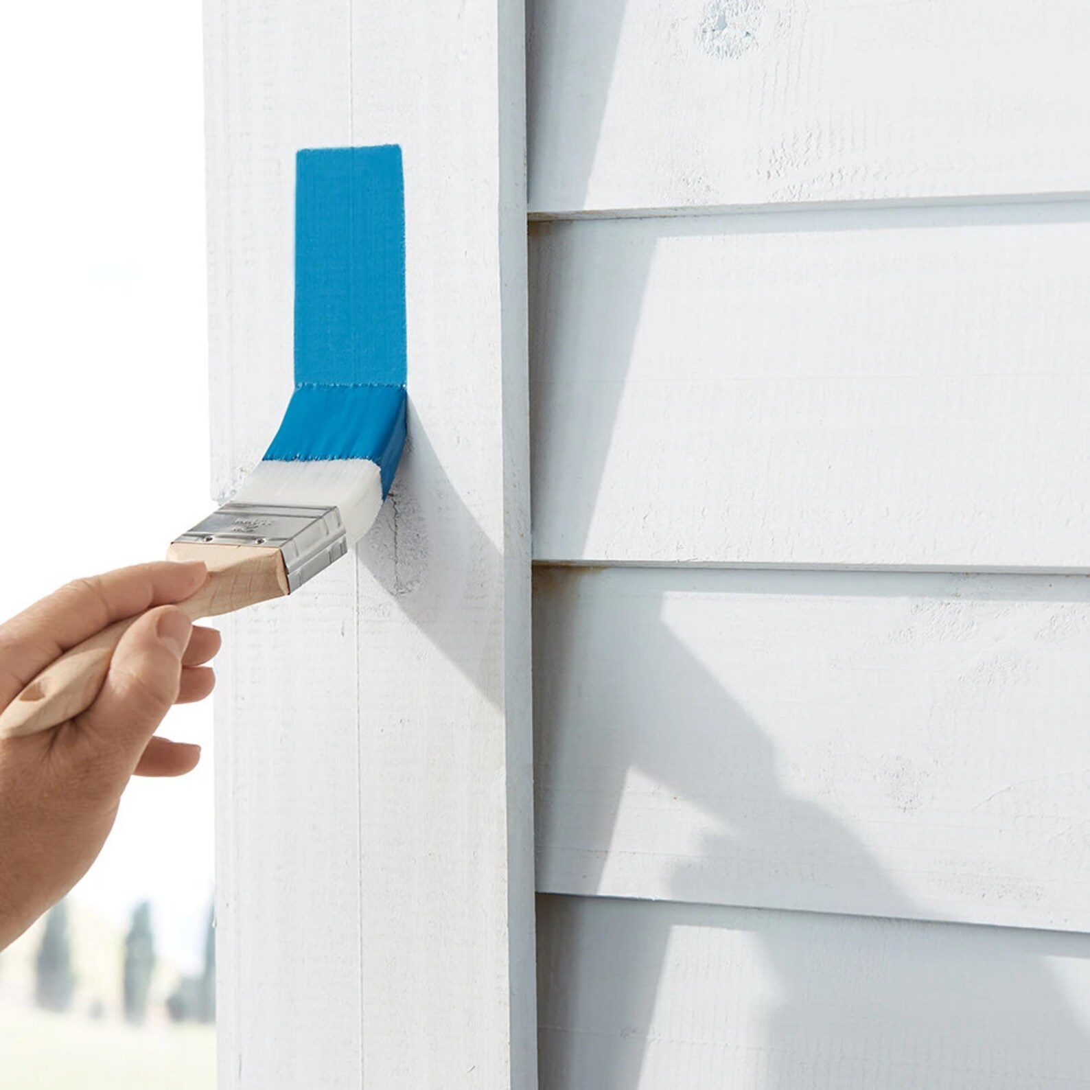 Zibra 2in PB200LZE Wedge Paint Brush