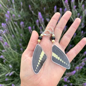 May include: A pair of earrings featuring a butterfly wing design. The wings are primarily dark gray with a yellow pattern. The earrings have silver-colored hooks and are accented with black and cream-colored beads. The background is a blurred view of purple flowers.