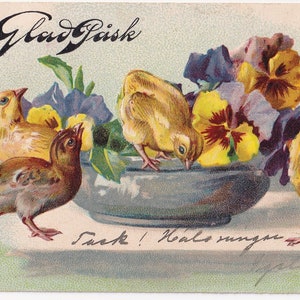 Joyeuses Pâques 1905 - Belle carte postale suédoise en relief - Fleurs de pensée et poussin - Carte vintage poulet éphémère nature scandinave