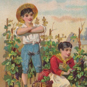 Ottime condizioni - Vitigno della vendemmia - Carta commerciale vittoriana francese c. 1895 - Guerin Boutron - vino frutta bambini eleganti- Vintage Minot