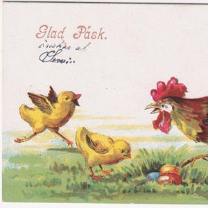 Joyeuses Pâques 1905/10 - Belle ancienne carte postale de voeux suédoise - Chromo-litho scandinave poule coq oeuf poussin nature - carte vintage poulet