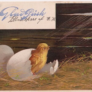 Artiste signé Mailick - Joyeuses Pâques 1907 - Belle carte postale de vœux vintage Suède - Naissance de poussin aux œufs cassés - poulailler de ferme - Glad Påsk