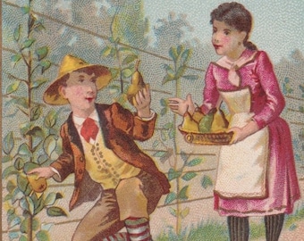 TOP état - Récolte dans un verger - Carte commerciale française victorienne c. Chocolat Grondard 1895 - Petite fille poire aux fruits - Millésime Minot