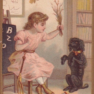 Condição superior! Instrução escolar - Lindo cartão comercial vitoriano francês 1895 chocolate Ibled Paris - menina humor poodle dog - Cromo vintage