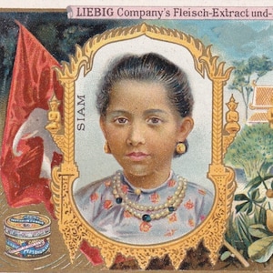 Retrato de menina de Sião - c. 1905, lindo cartão de visita francês vitoriano Liebig - Tailândia Chulalongkorn - moda vestido natureza - elefante vintage
