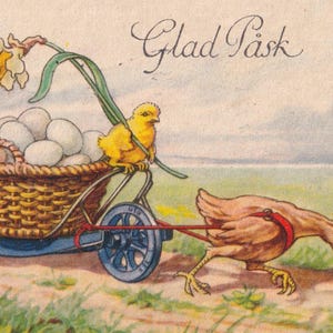 Jenny Nyström - Glad Påsk / Joyeuses Pâques 1933 - Belle petite carte postale vintage suédoise de voeux - Poule et poussin jonquille - Scandinave