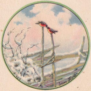 Jenny Nyström / Buon Natale 1926 - Bella vecchia cartolina d'epoca svedese - Uccello pettirosso invernale ramo di albero - campagna foresta neve