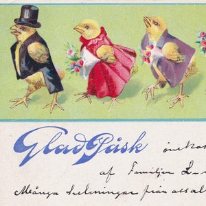 Tema di Buona Pasqua - Bella vecchia cartolina di auguri di Pasqua 1906 - Sfilata di pulcini umanizzati, uova rotte, vestiti per la nascita, antropomorfismo - vintage