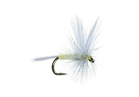 6 Size 22 PALE MORNING DUN PREMIUM LIGAS FLY FISHING FLIES