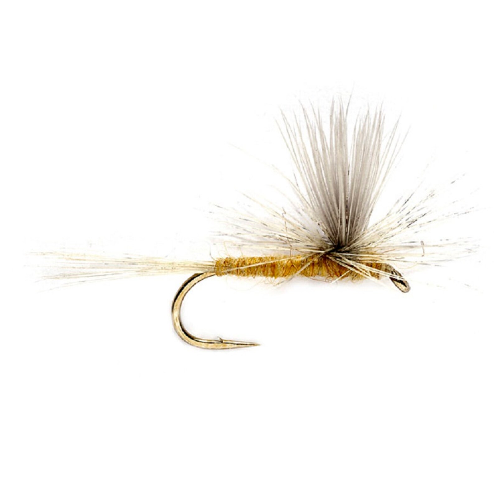 Eastern Trout Fly Assortment 24 Essential Dry and Nymph Fly Etsy