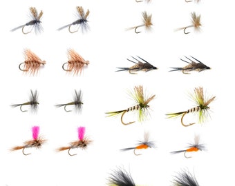 Eastern Trout Fly Assortment - 24 Essential Dry and Nymph Fly Fishing Flies Collection - 2 Dozen Trout Flies with Fly Box