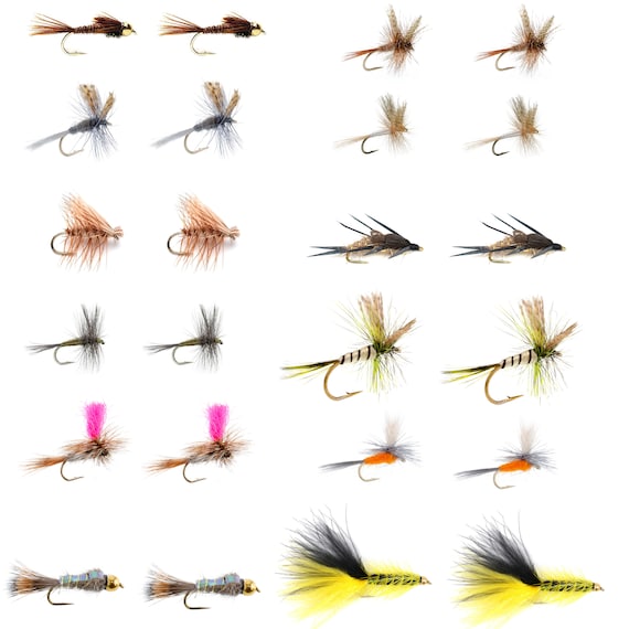 Buy Eastern Trout Fly Assortment 24 Essential Dry and Nymph Fly Fishing  Flies Collection 2 Dozen Trout Flies With Fly Box Online in India 