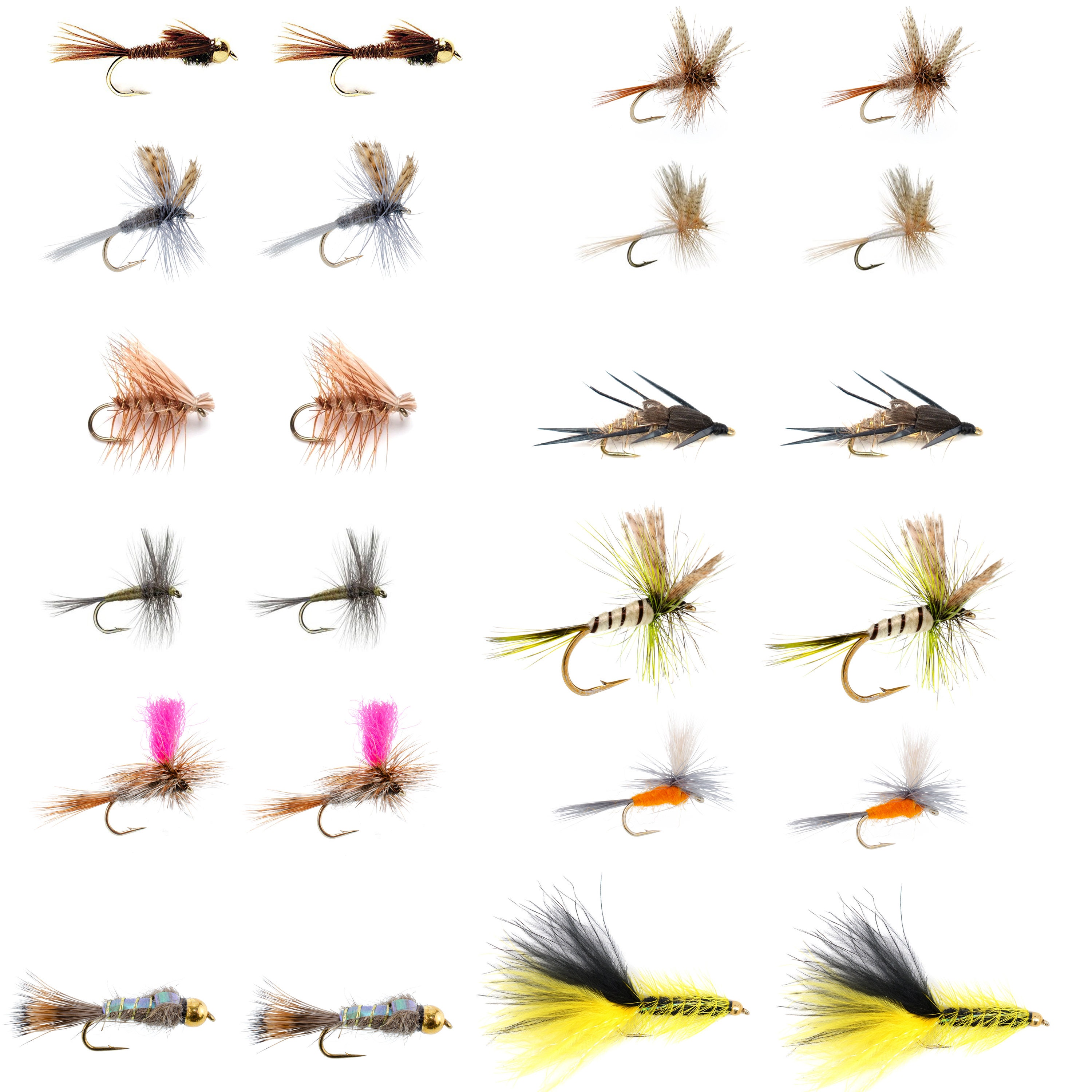 Eastern Trout Fly Assortment 24 Essential Dry and Nymph Fly Fishing Flies  Collection 2 Dozen Trout Flies With Fly Box -  UK