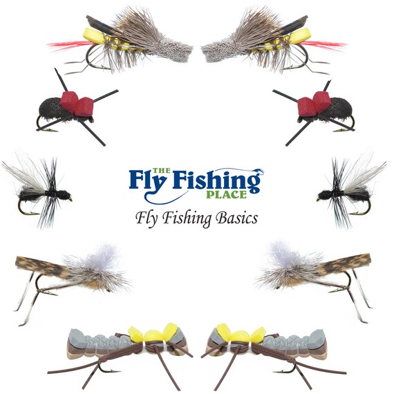 Terrestrials Dry Fly Assortment Fly Fishing Basics 10 Ant, Hopper and  Beetle Flies 5 Patterns Hook Size 10 -  Canada