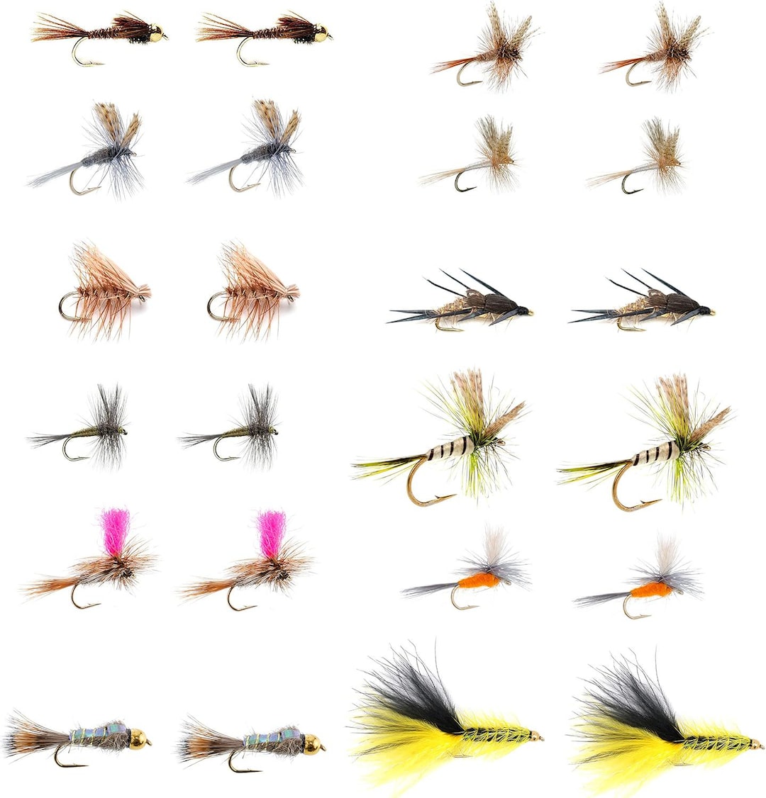 Eastern Trout Fly Assortment 24 Essential Dry and Nymph Fly Fishing Flies  Collection Dozen Trout Flies With Fly Box