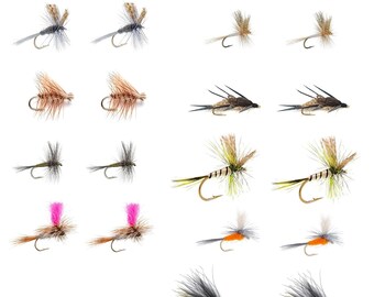 Eastern Trout Fly Assortment 24 Essential Dry and Nymph Fly