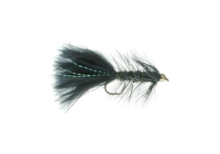 Trout Fly Assortment BH Nymph TheFlyStop