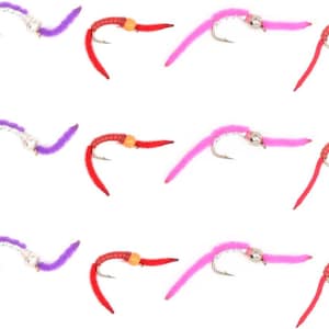 Trout Fly Assortment - San Juan Worm Power Bead Wet Nymph Fly Fishing Flies -  1 Dozen Hook Size 10 - 3 Each of 4 Patterns