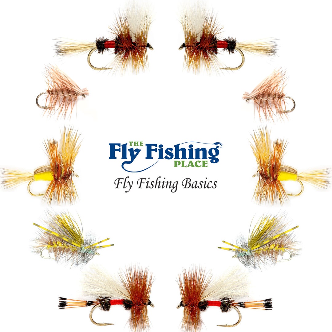 Hair Wing Dry Fly Assortment the Fly Fishing Place Basics Collection 10