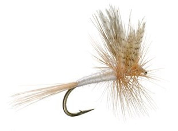 Classic Dry Fly Assortment the Fly Fishing Place Basics Collection 10 Dry Fishing  Flies 5 Patterns Hook Sizes 12, 14, 16 -  Canada