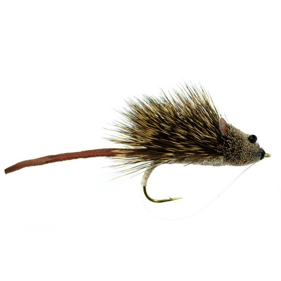 Bass Bug Collection Set of 12 Bass Spun Deer Hair Fly Fishing Flies Surface  Poppers, Mouse and Rat, and Divers Hook Sizes 2,4, 6 and 8 