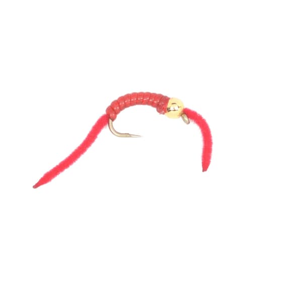 3-pack Red San Juan Worm Size 10 Gold Bead Head With V-rib Body Trout and  Panfish Fly Fishing Flies Hand Tied Trout Flies -  Canada