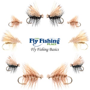 Elk Hair Caddis Dry Fly Assortment - The Fly Fishing Place Basics Collection - 10 Dry Fishing Flies - 5 Patterns - Hook Sizes 12, 14, 16