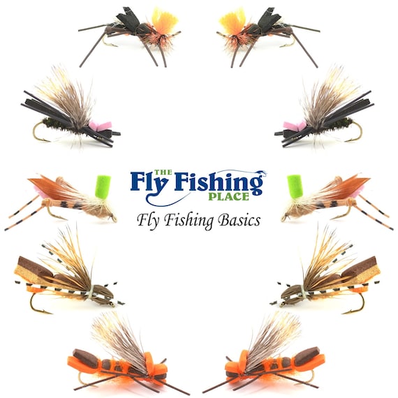 Foam Hoppers Dry Fly Assortment #2-10 Dry Fishing Grasshopper Flies - 5  Patterns - Hook Size 10 - The Fly Fishing Place Basics Collection