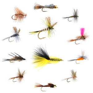 May include: Assortment of 12 colorful fly fishing lures with feathers and various materials. The lures are arranged in a circle on a white background.