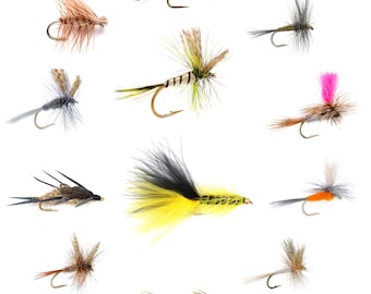 Eastern Trout Fly Assortment - 12 Essential Dry and Nymph Fly Fishing Flies Collection - 1 Dozen Trout Flies with Fly Box