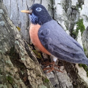 Felted American Robin Felted wool birds Needle Felted Gift Realistic wool bird garden bird ornament birds lifelive ornithology original art