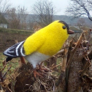 Felted wool birds. Felted Goldfinch. Needle Felted Gift .Realistic wool bird. OOAK,garden bird