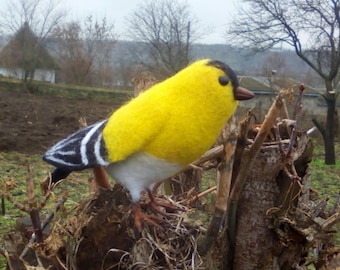 Felted wool birds. Felted Goldfinch. Needle Felted Gift .Realistic wool bird. OOAK,garden bird