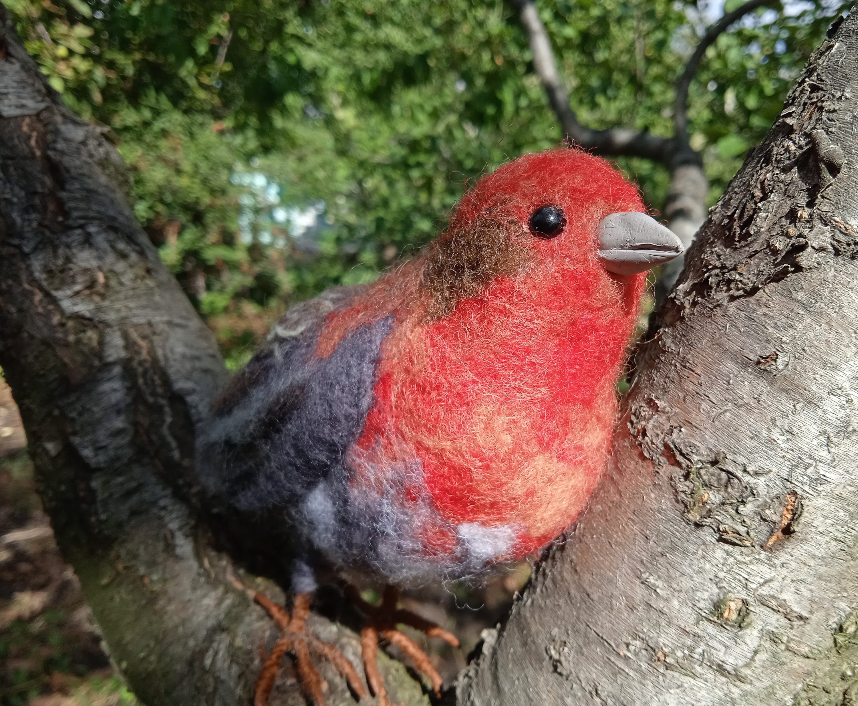 Felted house finch Wool bird Needle felted birds Original Wool gift Realistic bird Wool sculpture Room decoration birds ornament garden